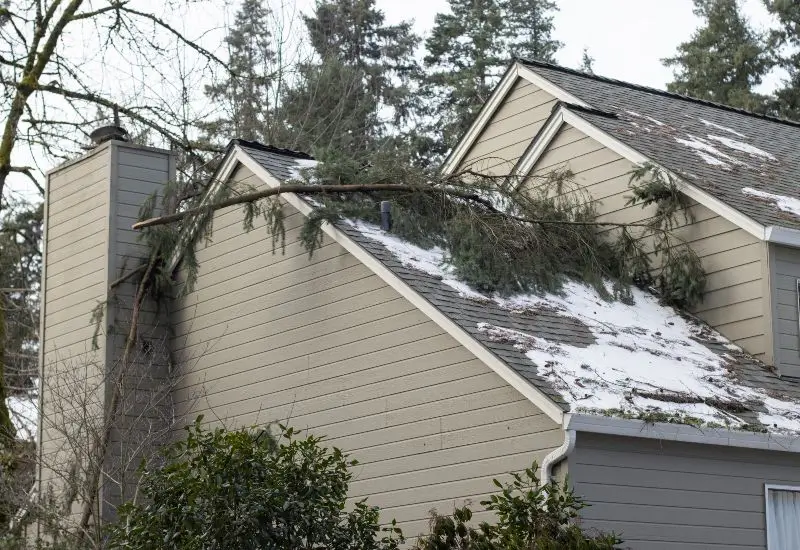 Featured image for “Tips to Help Prevent Severe Weather Roof Damage”