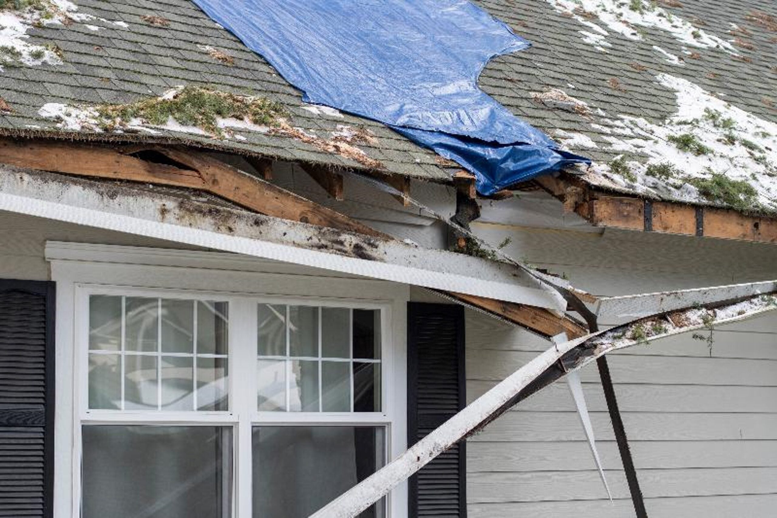 roofing damage