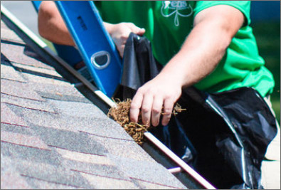 gutter cleaning