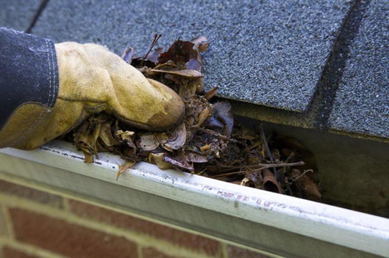 clean clogged gutters Delaware