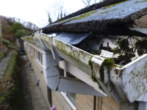 gutter cleaning