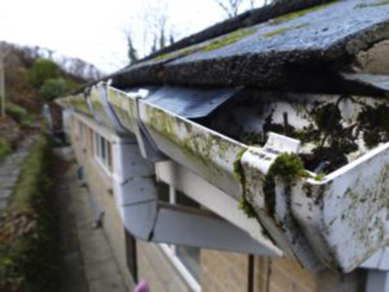 Featured image for “The Importance of Maintaining Your Home’s Gutter”