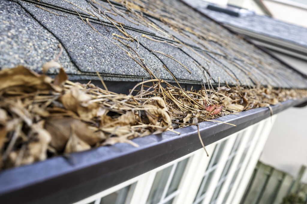 Clogged gutters with leaves